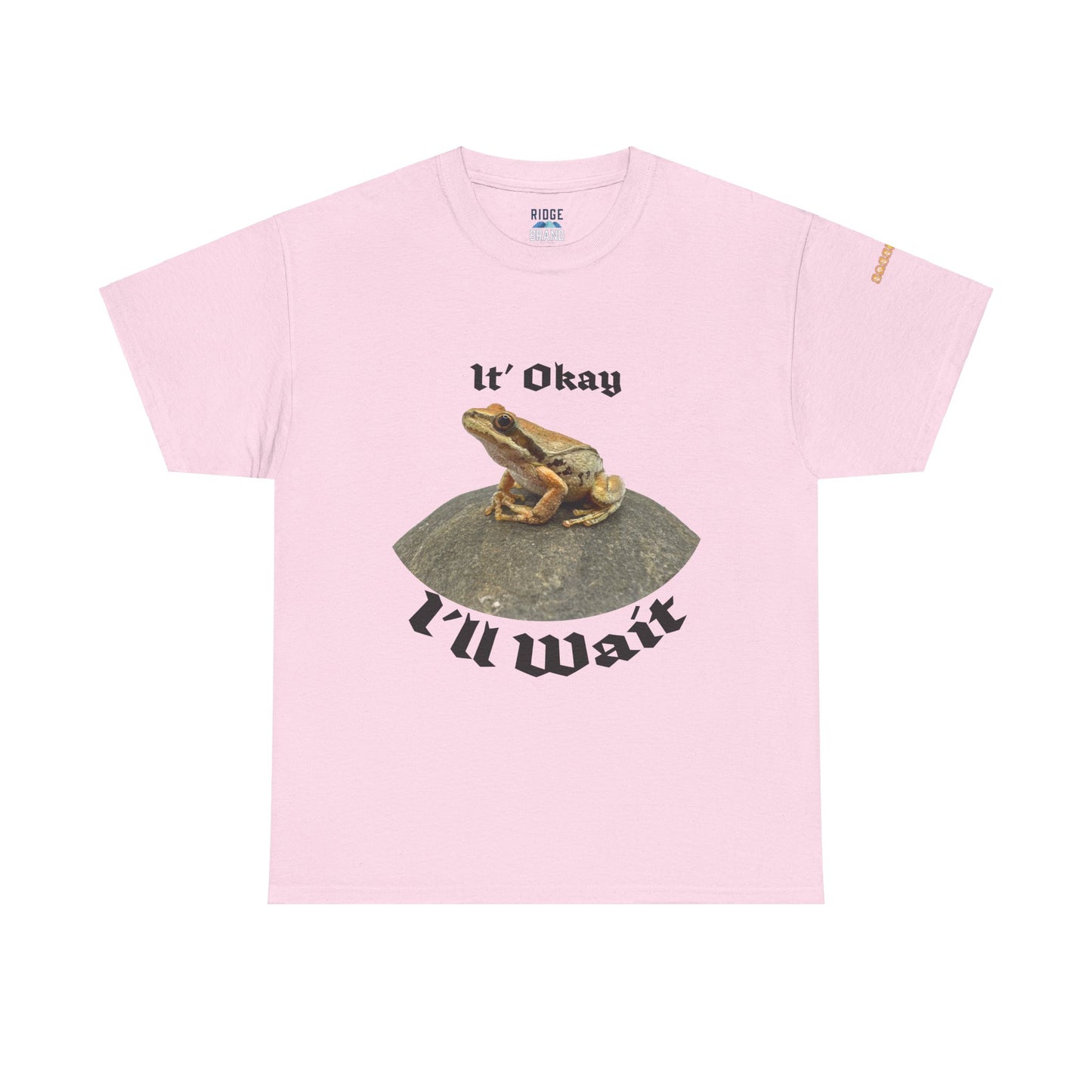 “It’s Okay, I’ll Wait” Frog T-Shirt