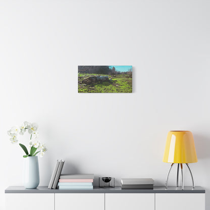 “Mossy Forest Floor” Canvas Wall Art