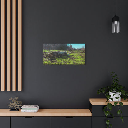 “Mossy Forest Floor” Canvas Wall Art